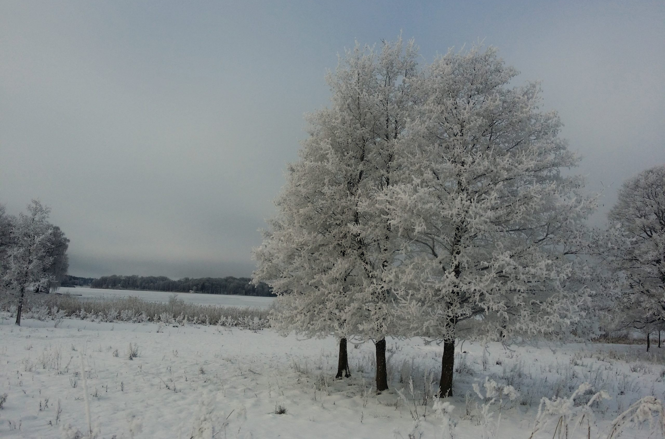 Private Prayer for Doug